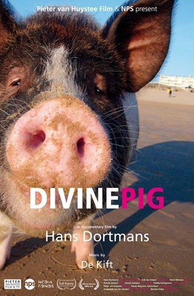 神猪 Divine Pig