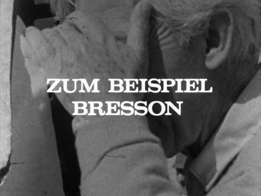 穆谢特拍摄特辑 Zum Beispiel Bresson