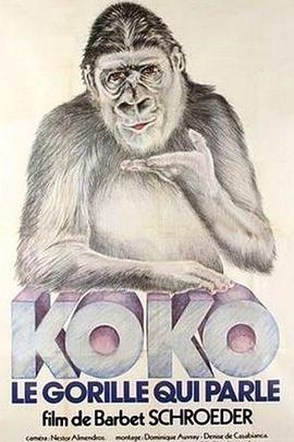 科科：<span style='color:red'>会说</span>话的大猩猩 Koko, le gorille qui parle