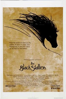<span style='color:red'>黑神驹 The Black Stallion</span>