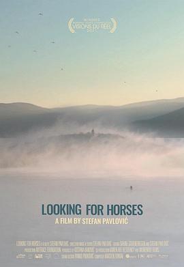 寻马 Looking for Horses