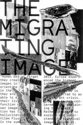 难民图像 The Migrating Image