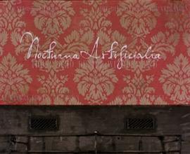 人工夜 Nocturna Artificialia