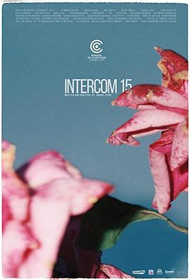 15号的对讲机 Intercom 15