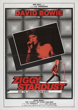 基吉星团与火星蜘蛛 Ziggy Stardust and the Spiders from Mars