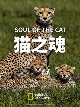 猫之魂 Soul of the Cat
