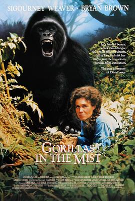 迷雾森林十<span style='color:red'>八年</span> Gorillas in the Mist: The Story of Dian Fossey
