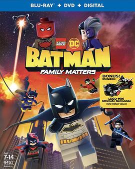 乐高DC蝙蝠侠：家族事务 LEGO DC Batman: Family Matters