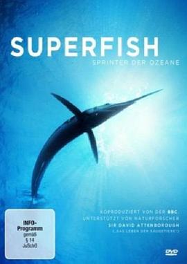 自然：超级鱼类 The Natural World Superfish
