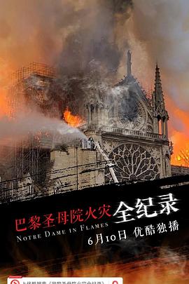 巴黎圣母院火灾全纪录