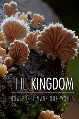 真菌王国 The Kingdom: How Fungi Made Our World