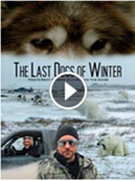 濒危的爱斯基摩犬 The Last Dogs of Winter