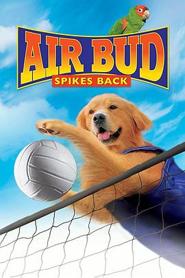 <span style='color:red'>飞</span>狗巴迪5：排<span style='color:red'>球</span>健将 Air Bud: Spikes Back