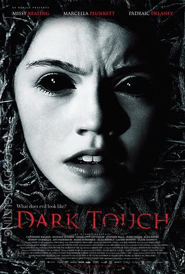 黑暗中的触摸 Dark Touch