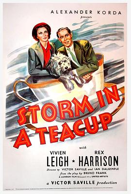茶<span style='color:red'>杯</span>里的风暴 Storm in a Teacup