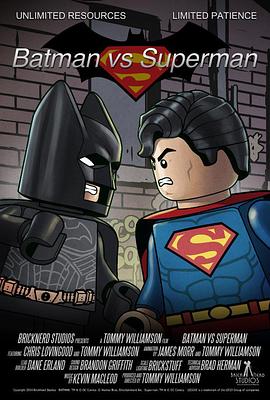 乐高蝙蝠侠大战超人 LEGO Batman vs. Superman