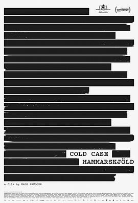 哈马舍尔德悬案 Cold Case Hammarskjöld