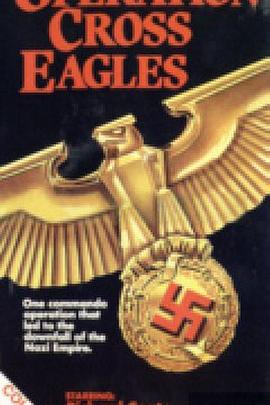 <span style='color:red'>十字</span>鹰行动 Operation Cross Eagles