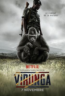 维龙加 Virunga