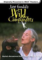 珍古德的野生黑猩猩 Jane Goodall's Wild Chimpanzees