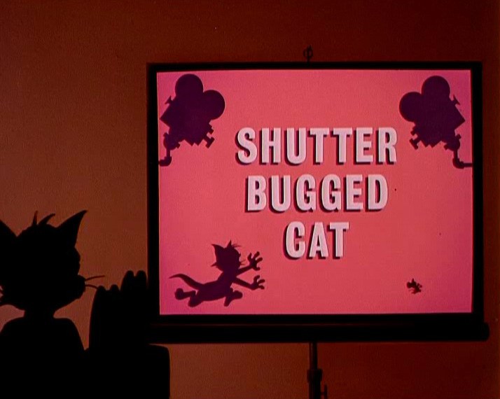 快门窃听猫 Shutter Bugged Cat