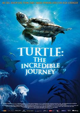 <span style='color:red'>海龟</span>奇妙之旅 Turtle: The Incredible Journey