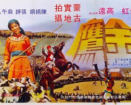 金鹰 金鷹
