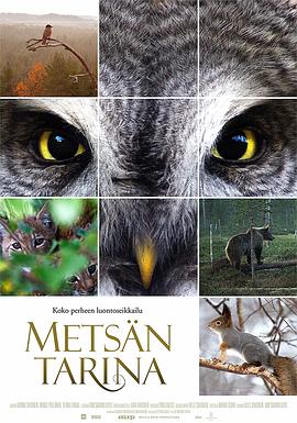 森林传说 Metsän tarina