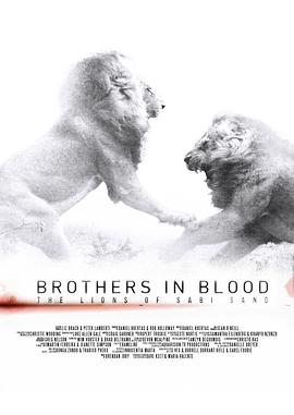狮王之路 Brothers in Blood: The Lions of Sabi Sand