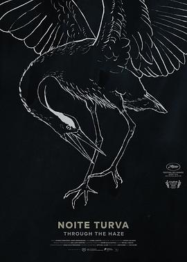 <span style='color:red'>穿越</span>雾气 Noite turva