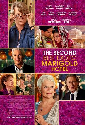 涉外<span style='color:red'>大饭店</span>2 The Second Best Exotic Marigold Hotel