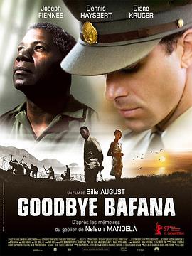再见巴法纳 Goodbye Bafana
