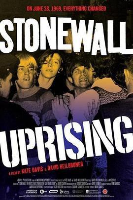 石墙风暴 Stonewall Uprising