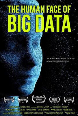 人类面对大数据 The Human Face of Big Data