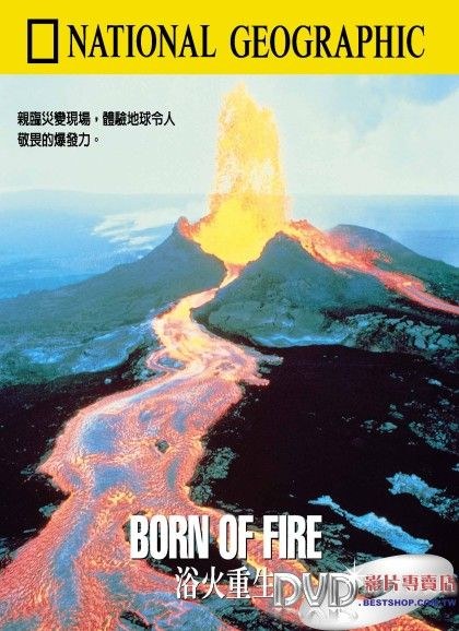 浴火重生 BORN OF FIRE