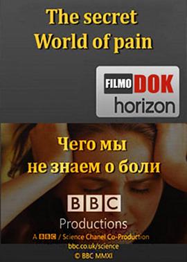 地平线系列：疼痛的秘密 Horizon: The Secret World of Pain