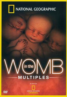 <span style='color:red'>子</span><span style='color:red'>宫</span>日记：多胞胎 In the Womb: Multiples