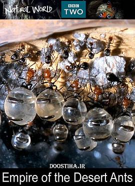 BBC 自然世界：沙漠蚂蚁帝国 BBC Natural World:Empire of the Desert Ants