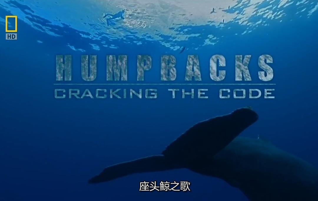 国家地理：座头鲸之歌 National.Geographic.Humpbacks.Cracking.The.Code