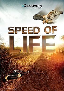 <span style='color:red'>探索频道</span>：生命的速度 Discovery Channel ：Speed of Life
