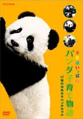 不可思议的熊猫宝宝养育物语 不思議いっぱい パンダ子育て物語