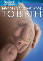 从受孕到分娩 From Conception to Birth
