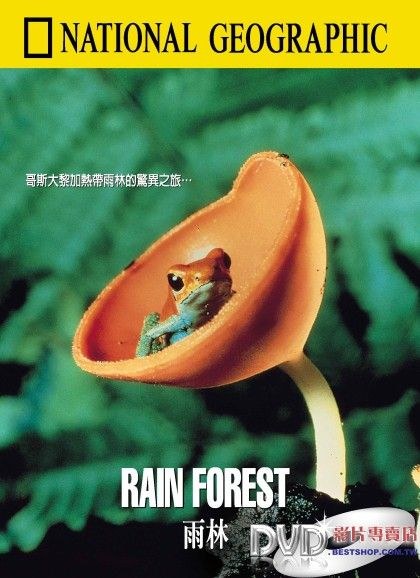 雨林 RAIN FOREST
