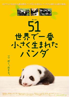 大熊猫51的故事 51（ウーイー） 世界で一番小さく生まれたパンダ