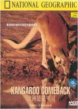 <span style='color:red'>澳洲</span>袋鼠王国 Kangeroo Comeback