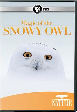 神奇的雪鸮 Magic of the Snowy Owl