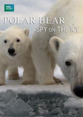 北极熊：冰上侦探 Polar Bears: Spy on the Ice