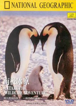 国家地理：南极冰原 Antarctic Wildlife Adventure