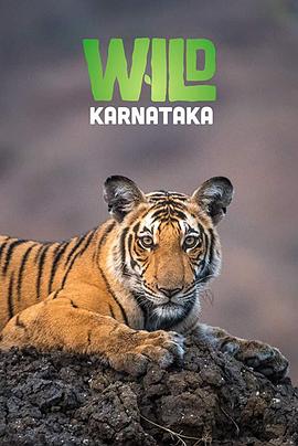 野性印度卡纳塔克邦 Wild Karnataka