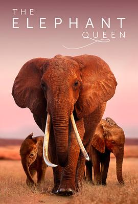 大象女王 The Elephant Queen